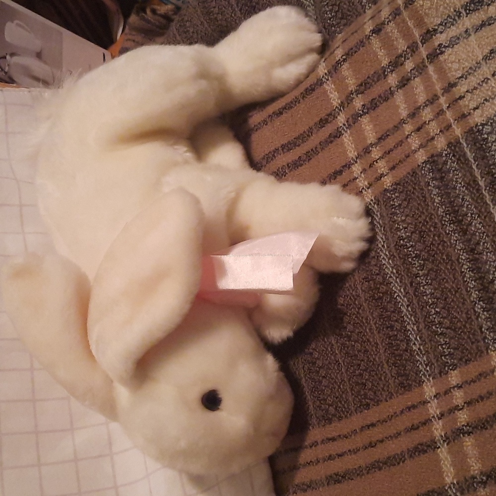 Kids of america bunny 2006